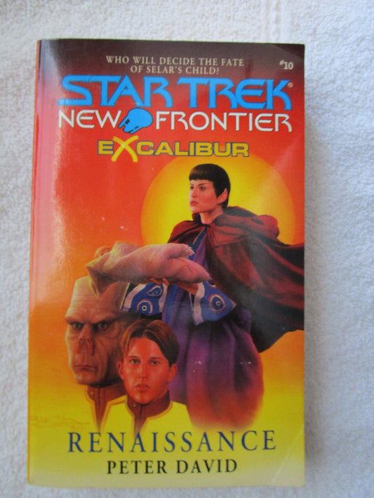 Renaissance (Star Trek New Frontier: Excalibur, Book 10)