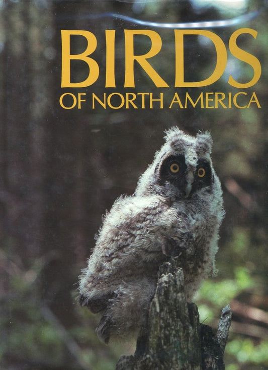 Birds of North America - 4297