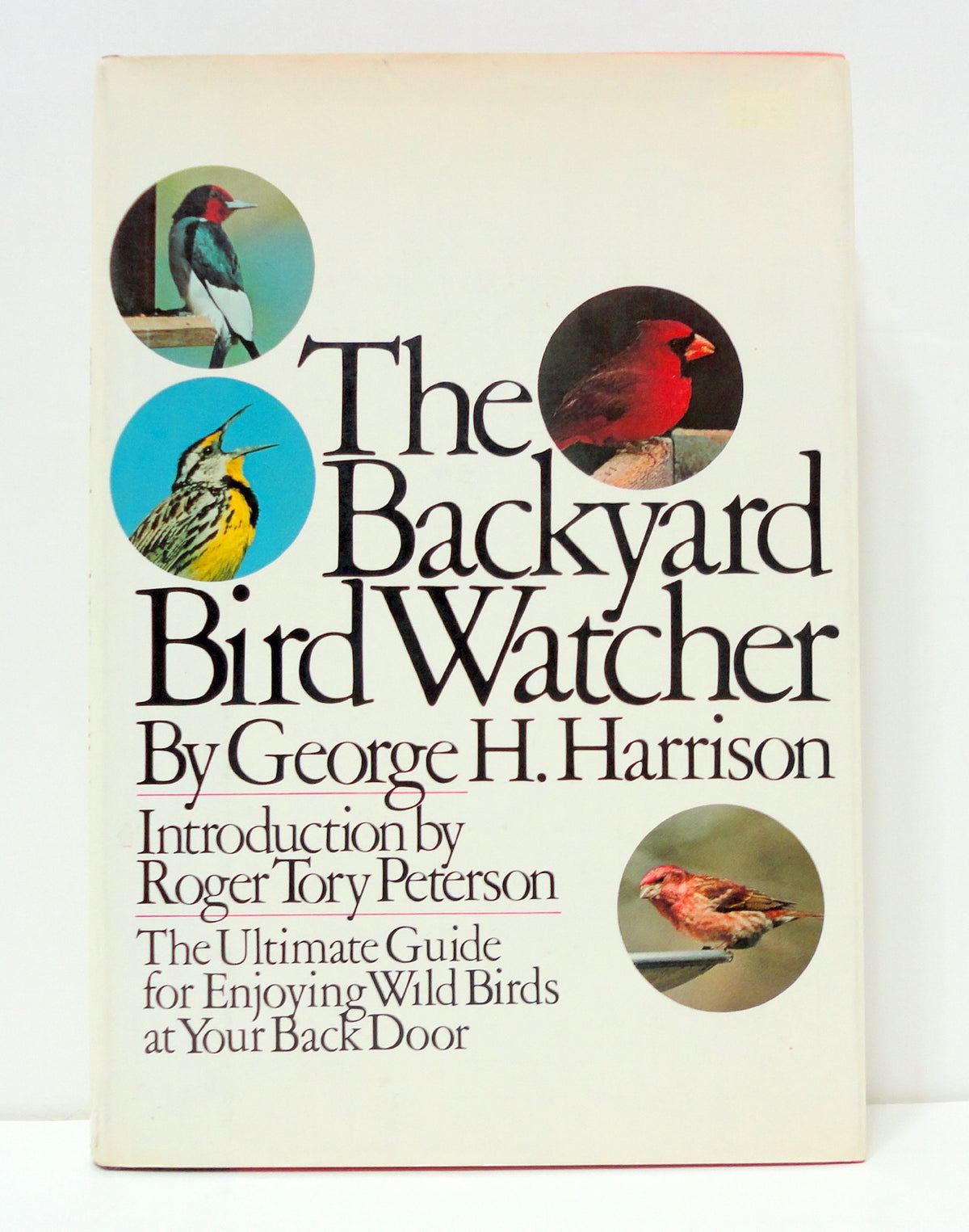 BACKYARD BIRDWTCHR