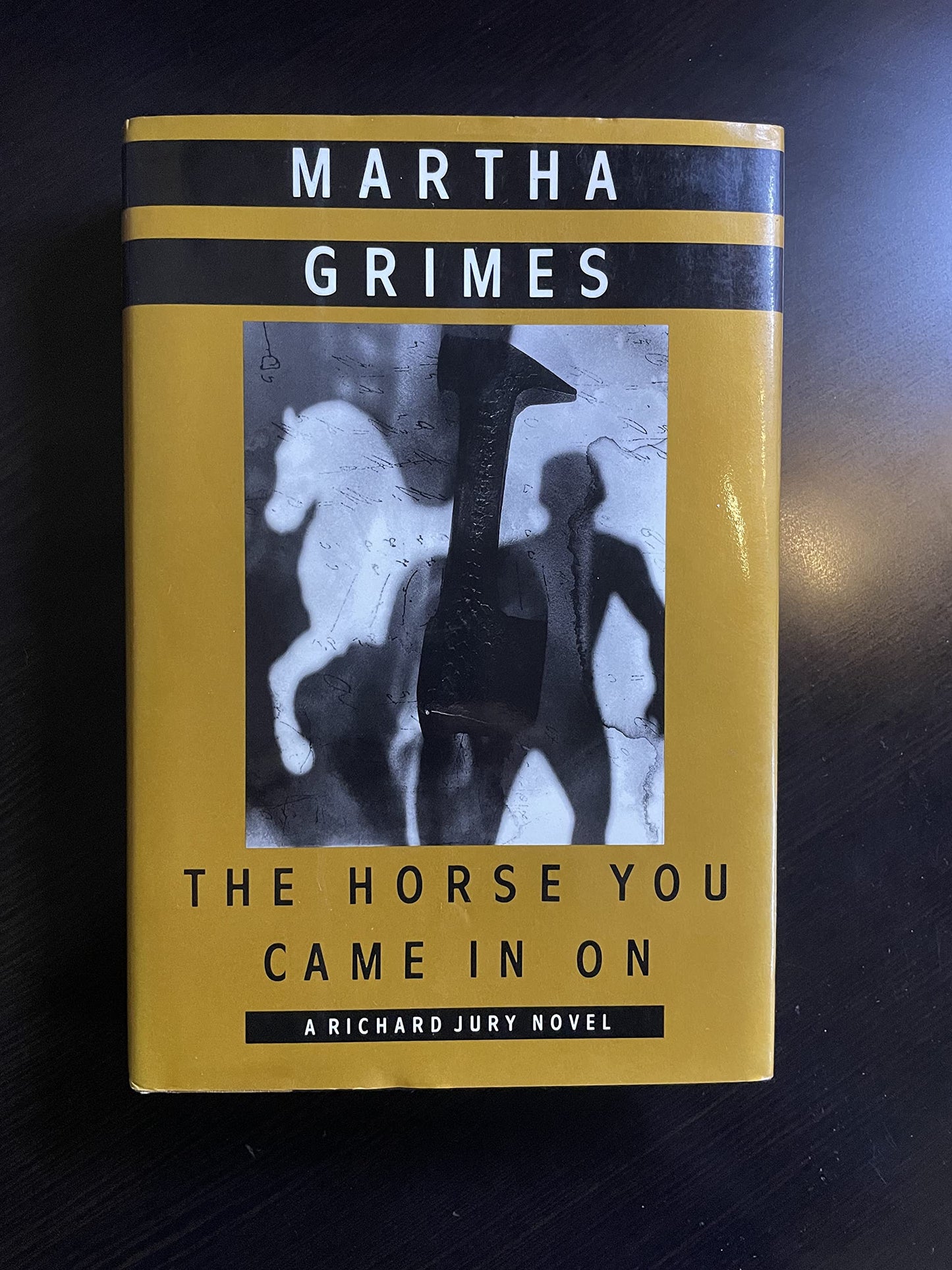The Horse You Came in On