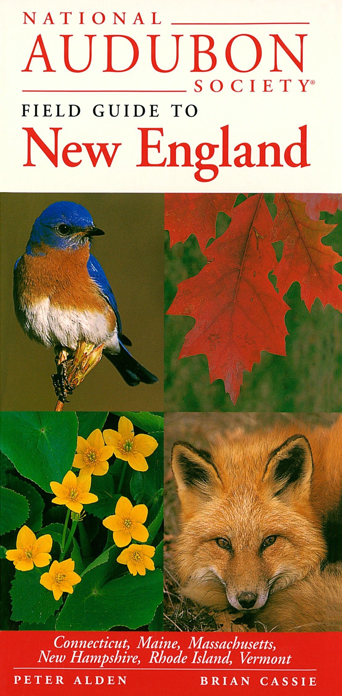 National Audubon Society Field Guide to New England: Connecticut, Maine, Massachusetts, New Hampshire, Rhode Island, Vermont (National Audubon Society Field Guides) - 8792