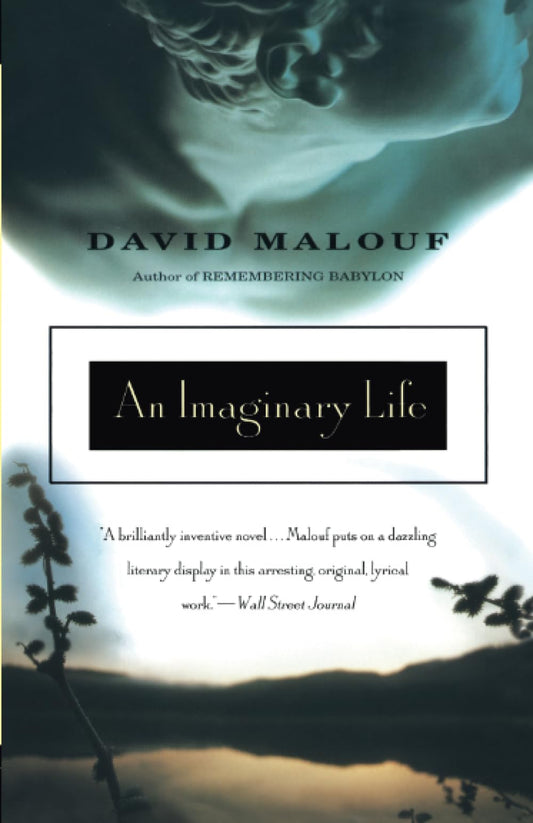 An Imaginary Life - 1524