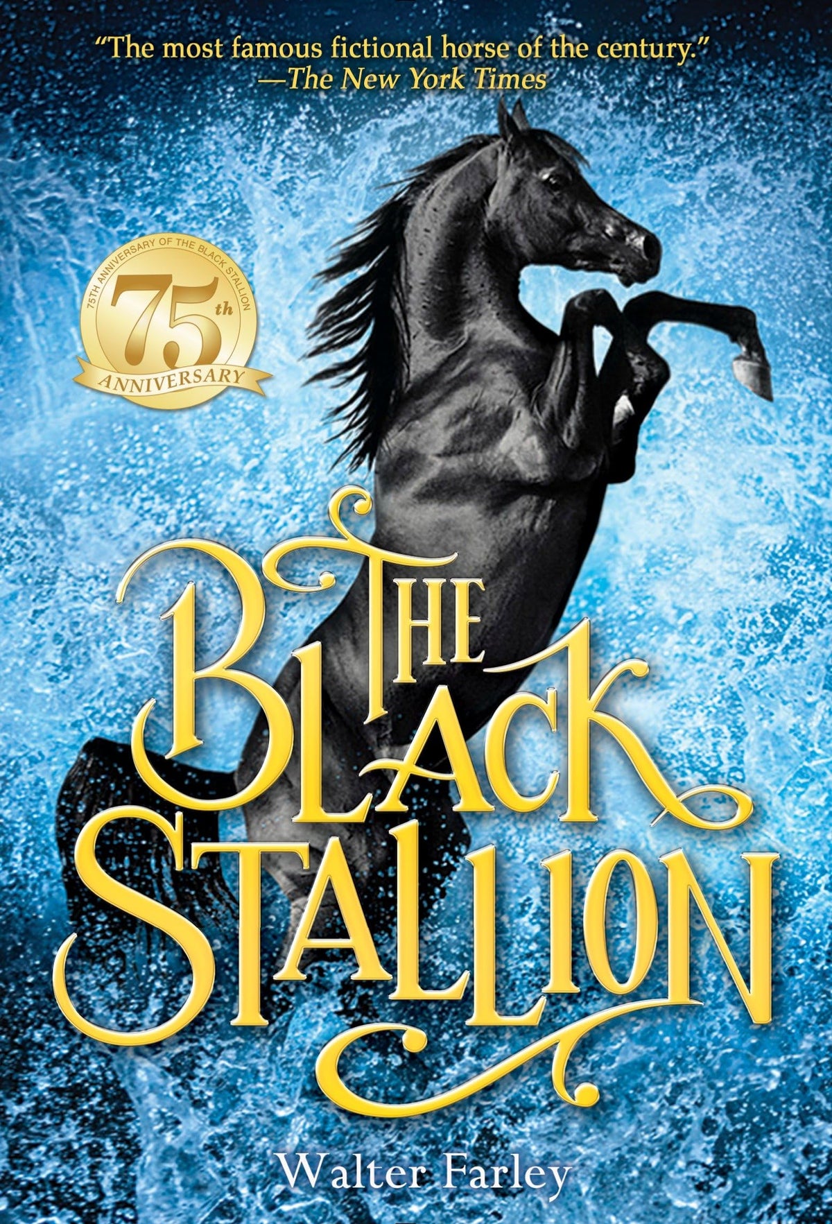 THE BLACK STALLION