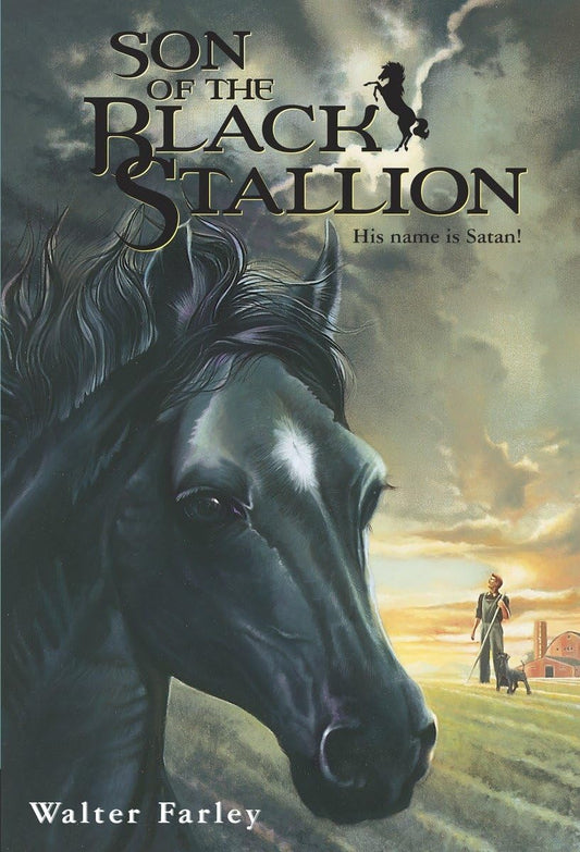 Son of the Black Stallion - 3560