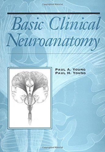 Basic Clinical Neuroanatomy - 4320