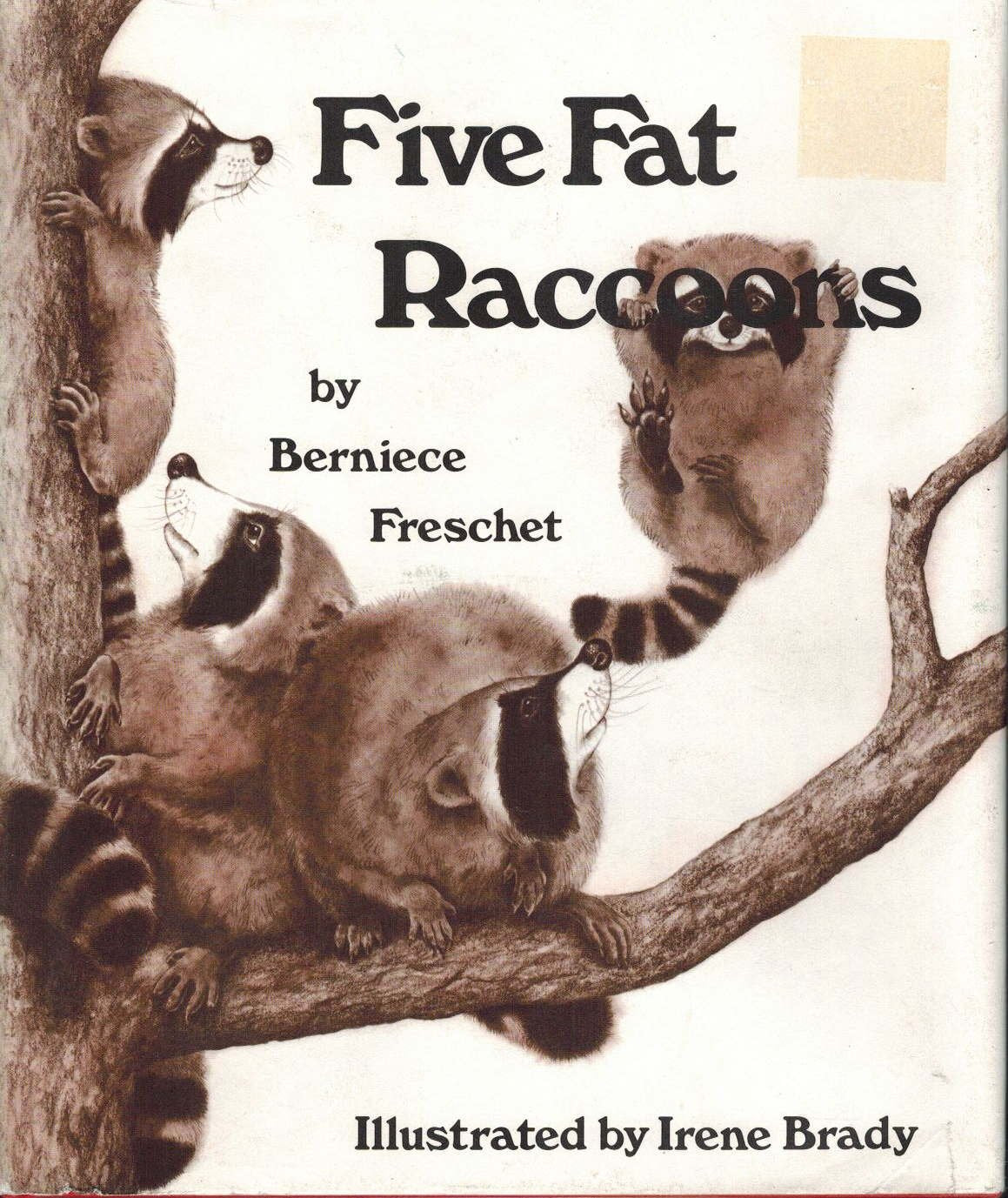 Five Fat Raccoons