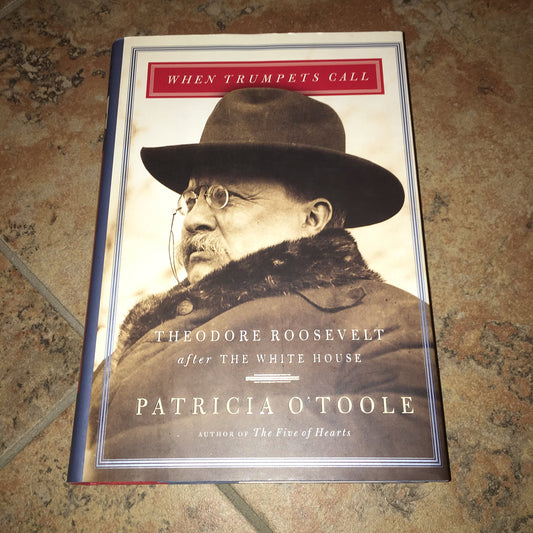 When Trumpets Call: Theodore Roosevelt After the White House