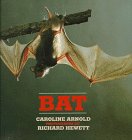 Bat - 8589