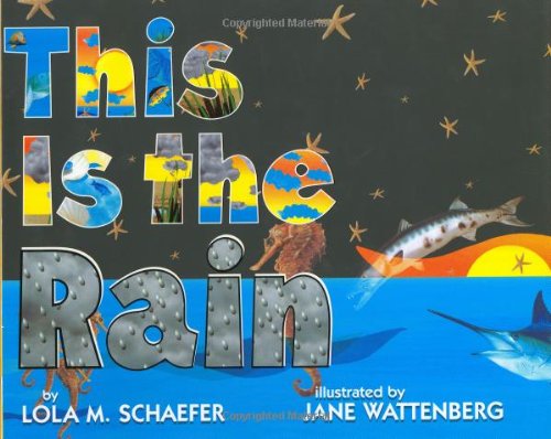 This Is the Rain