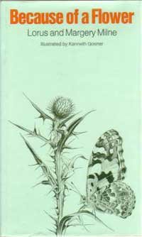 Because of a Flower