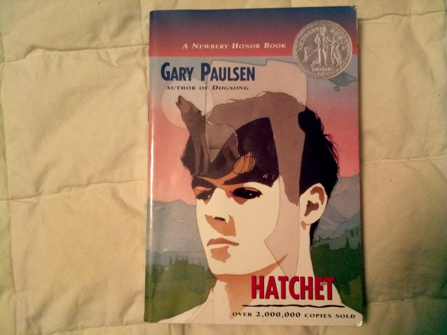 Hatchet - 4196