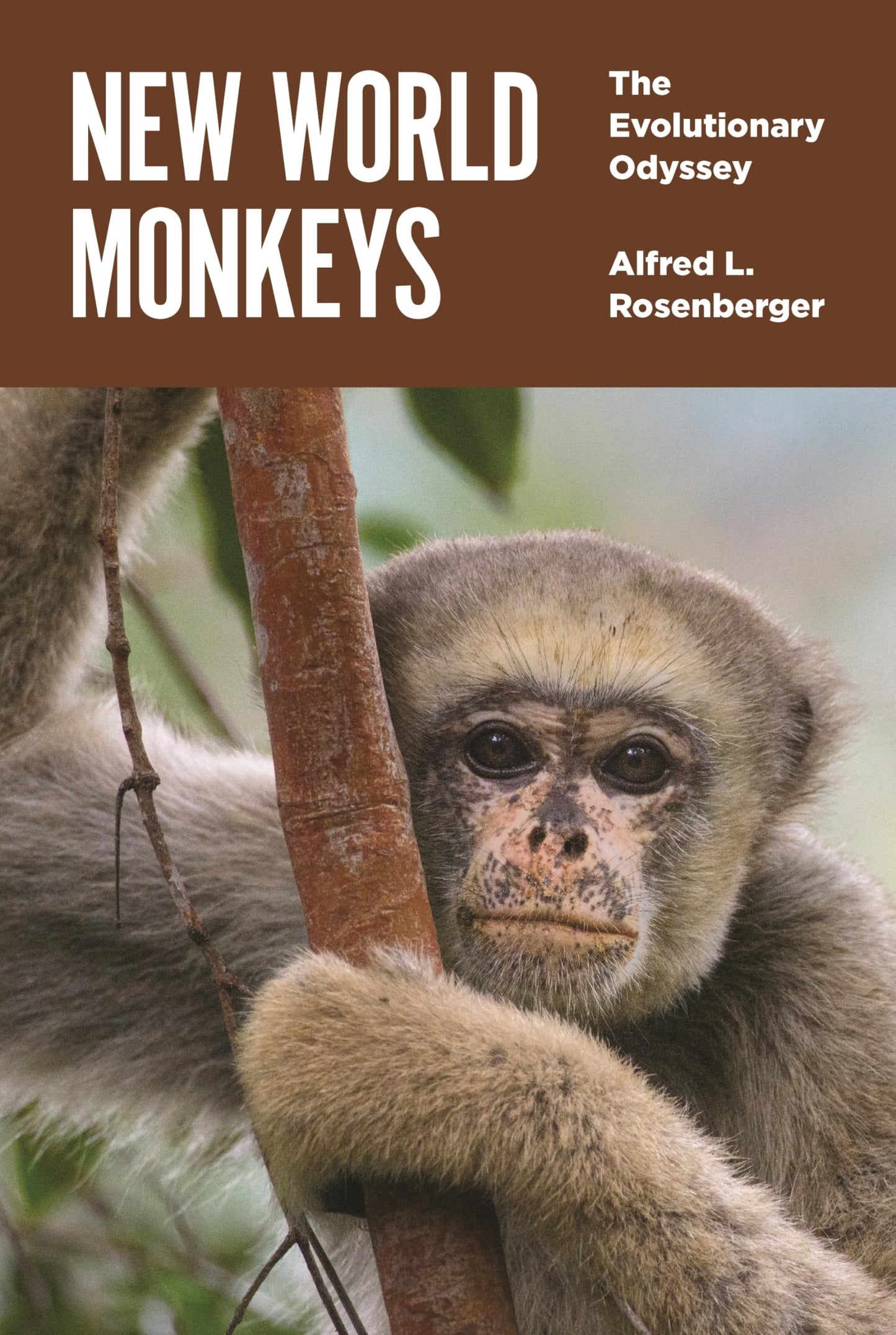 New World Monkeys: The Evolutionary Odyssey - 2860