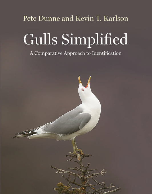Gulls Simplified: A Comparative Approach to Identification - 9701