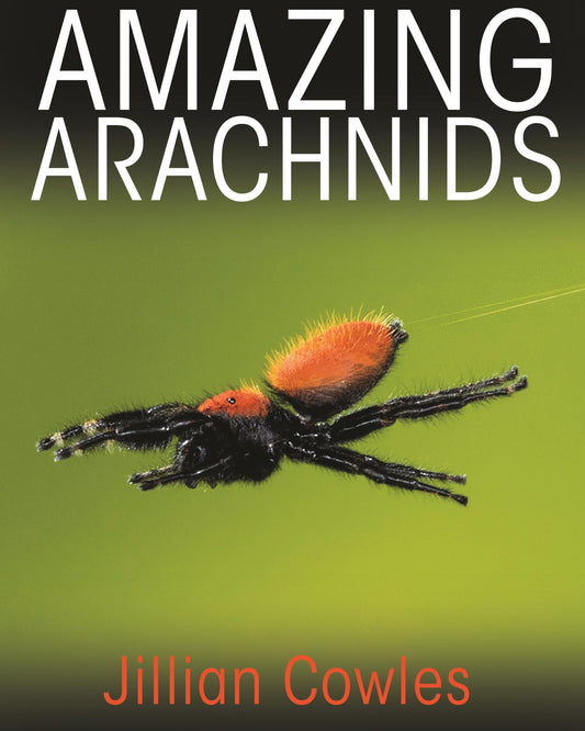 Amazing Arachnids - 2153