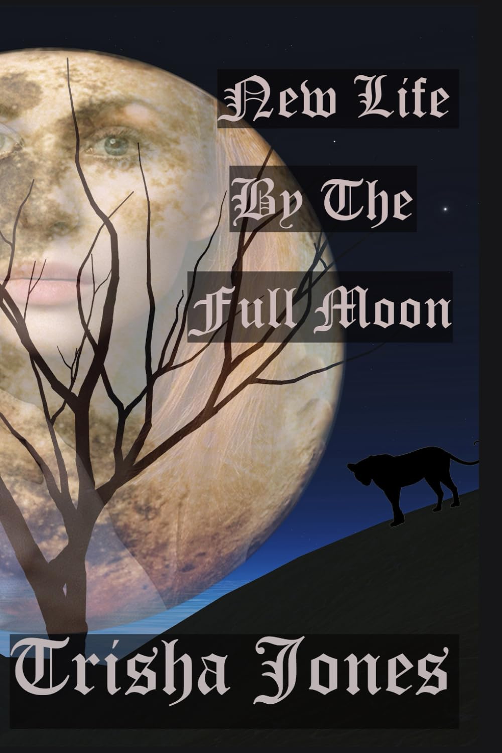 New Life by the Full Moon (Ann Smith series)