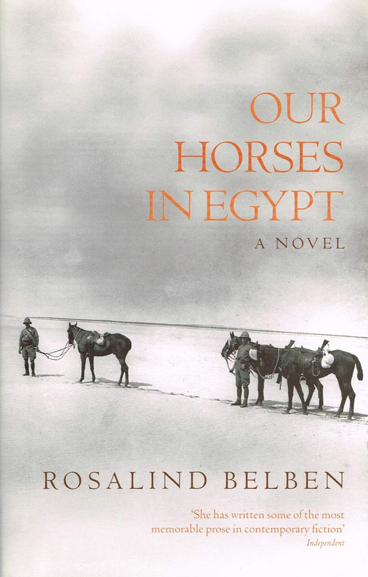 Our Horses in Egypt - 6675
