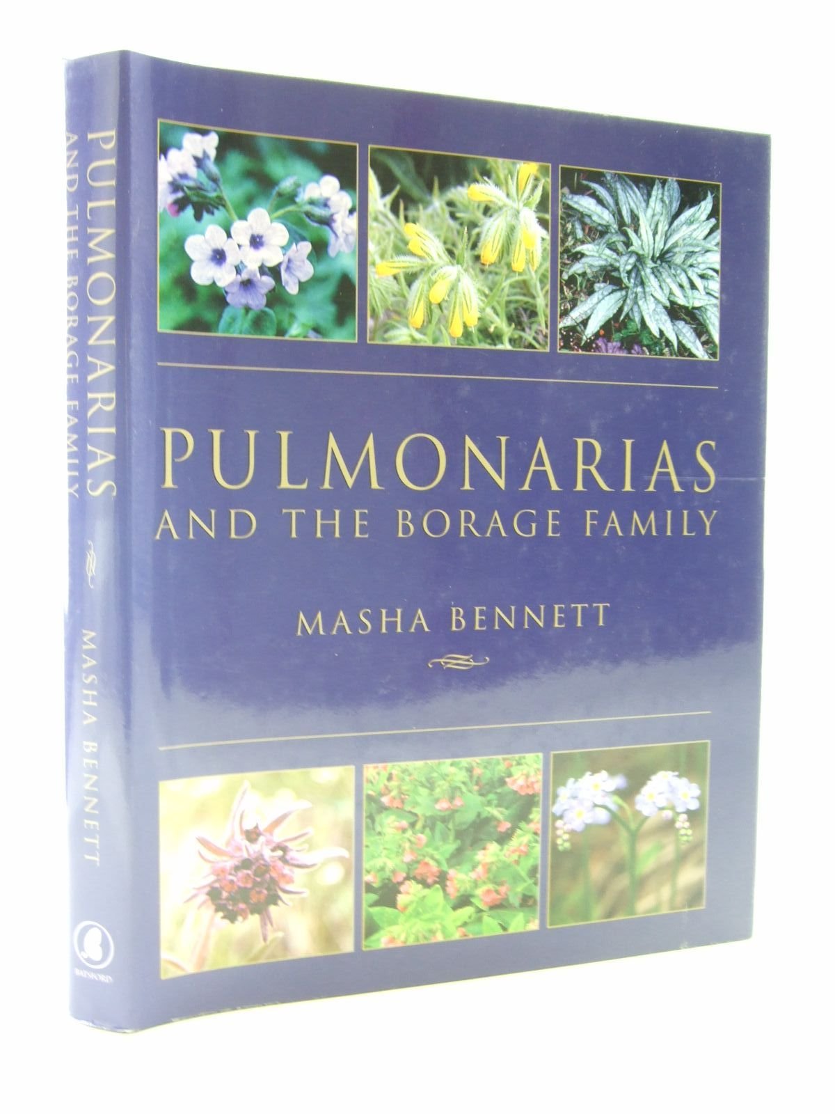 Pulmonarias and the Borage Family