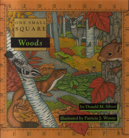 Woods (One Small Square)