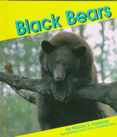 Black Bears (Pebble Books)