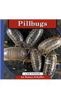 Pillbugs (Life Cycles) - 7942