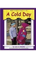 A Cold Day (Pebble Books)