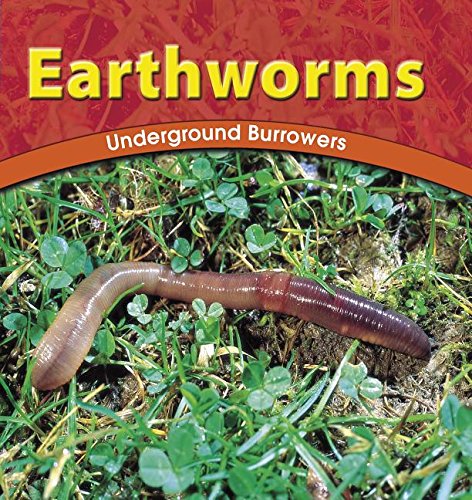 Earthworms: Underground Burrowers (Wild World of Animals)