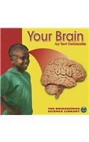 Your Brain (Bridgestone Science Library: Your Body)