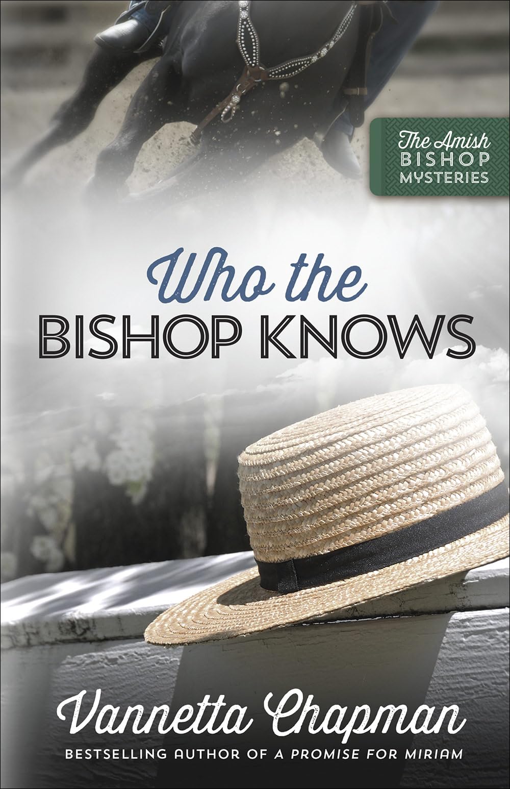 Who the Bishop Knows (Volume 3) (The Amish Bishop Mysteries) - 8033
