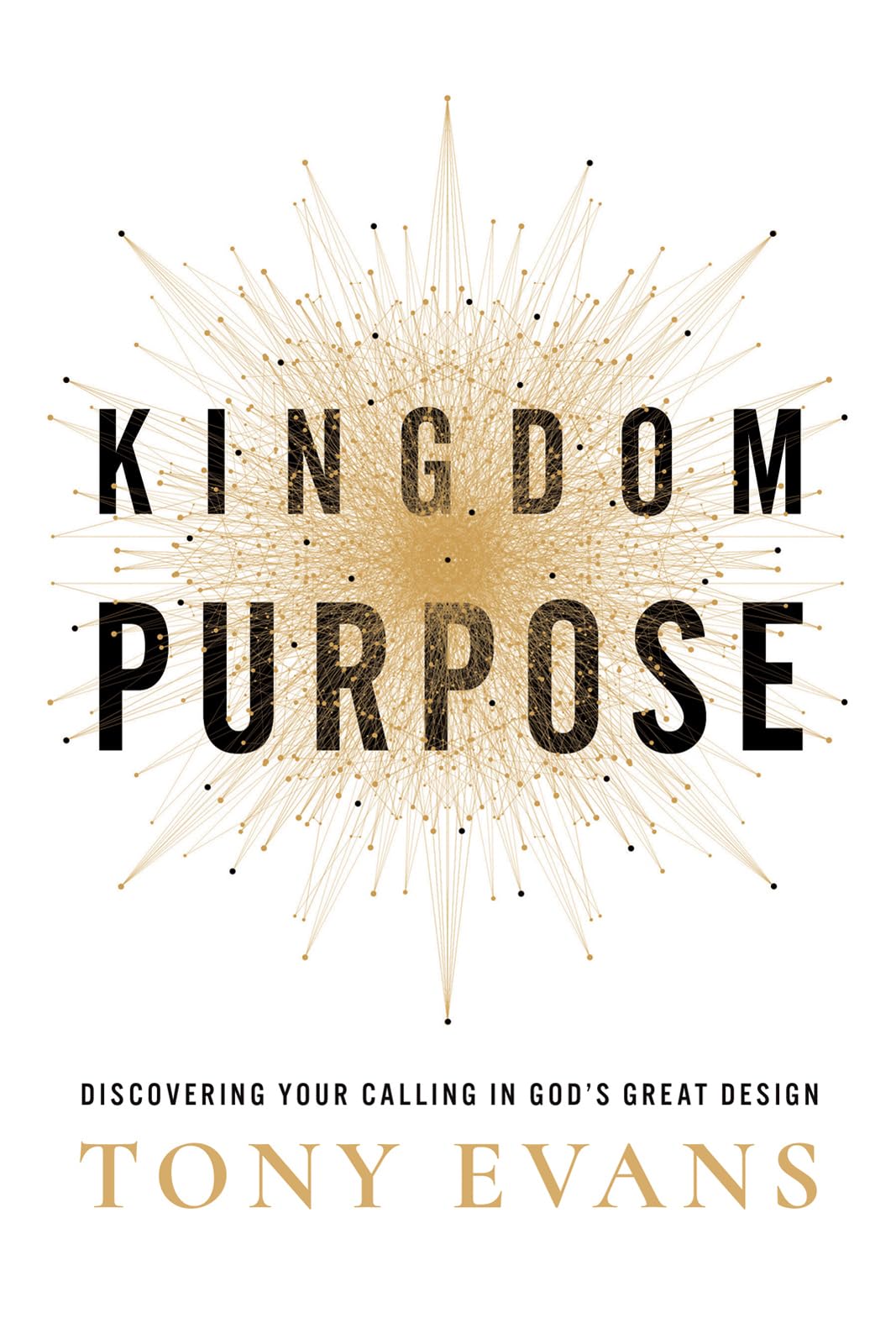 Kingdom Purpose: Discovering Your Calling in God’s Great Design