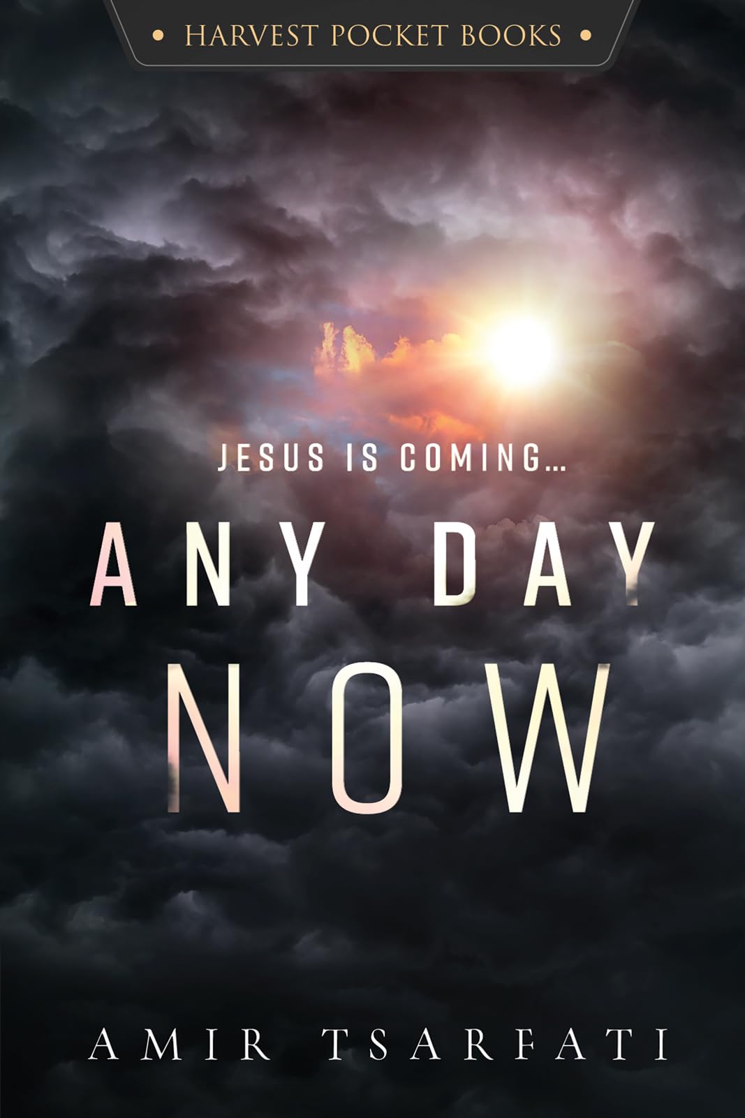 Any Day Now (Harvest Pocket Books) - 2045