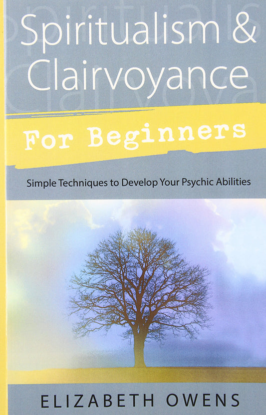 Spiritualism & Clairvoyance for Beginners: Simple Techniques to Develop Your Psychic Abilities (Llewellyn's For Beginners, 18) - 8645