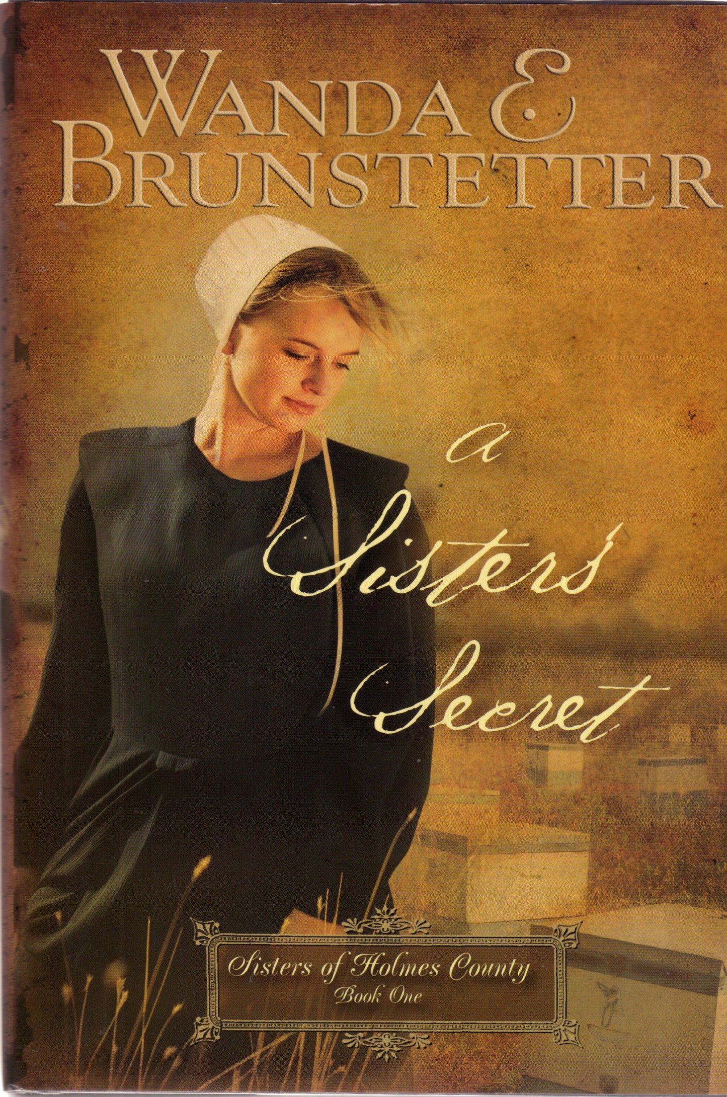 A Sister's Secret (Sisters of Holmes County, Book 1)