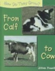 From Calf to Cow (How Do They Grow?)