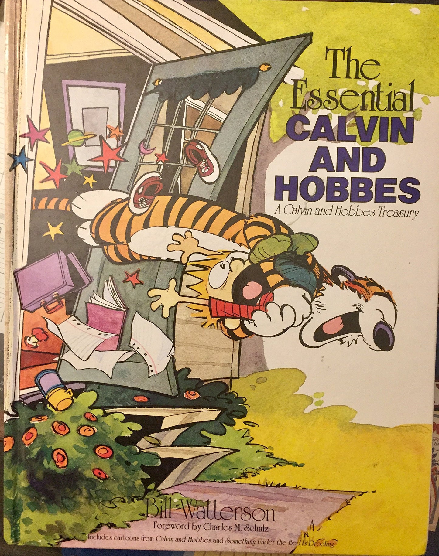 Essential Calvin Hobbes