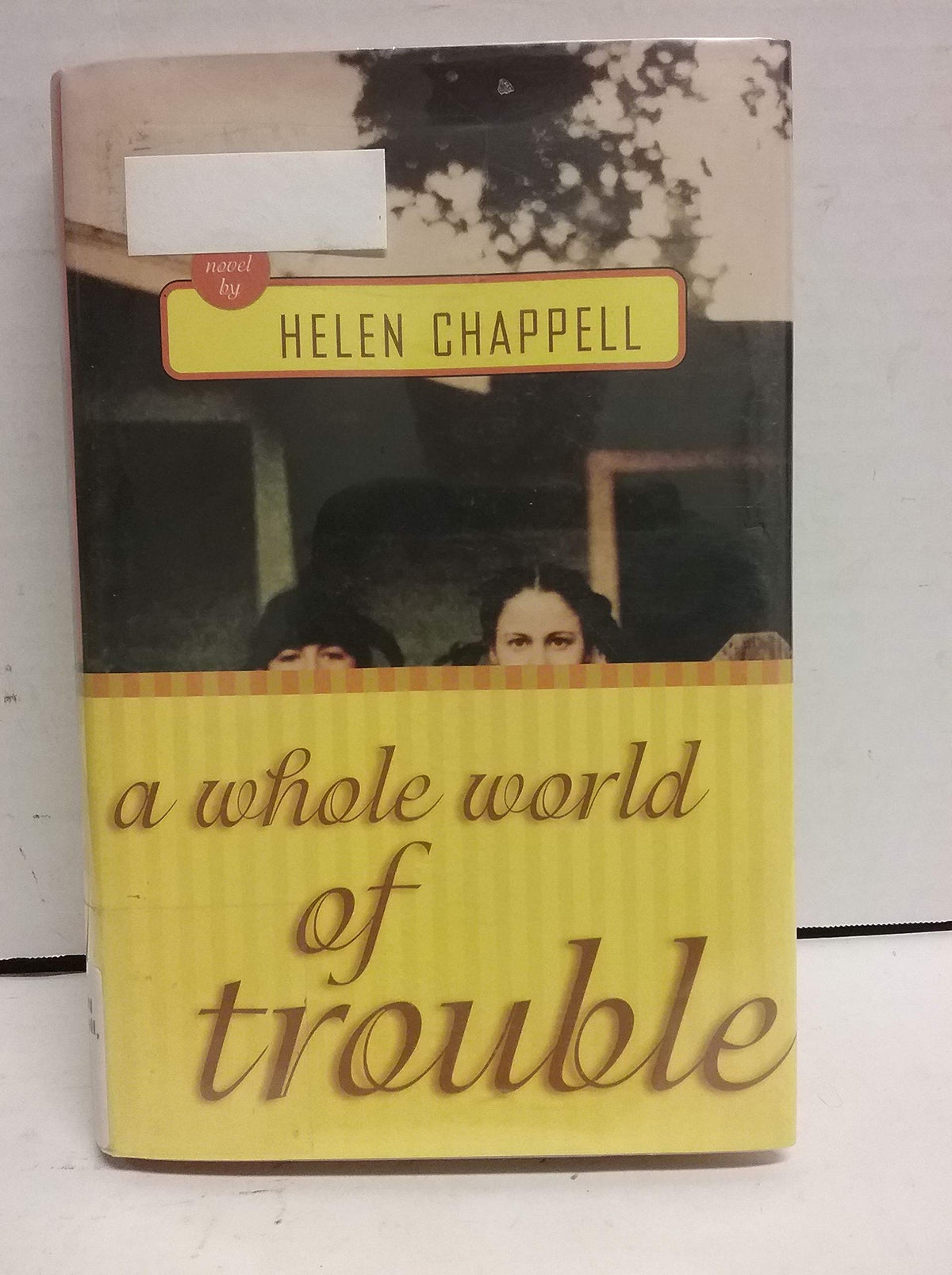 A Whole World of Trouble: A Novel