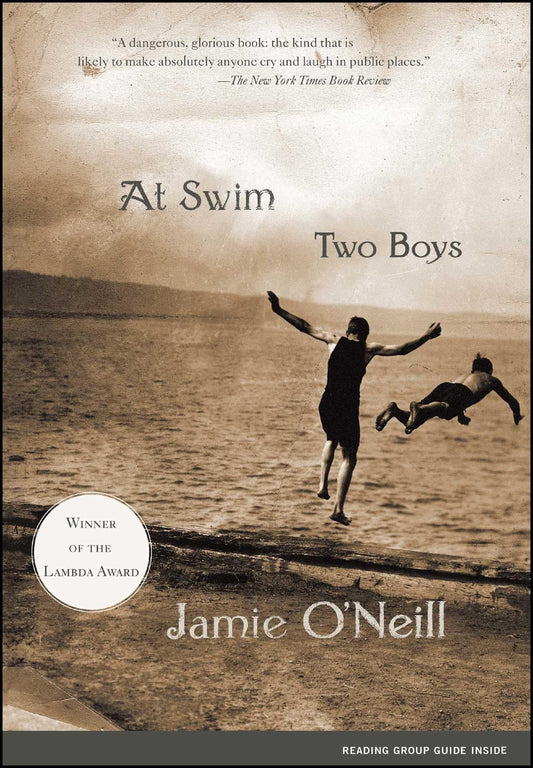 At Swim, Two Boys: A Novel