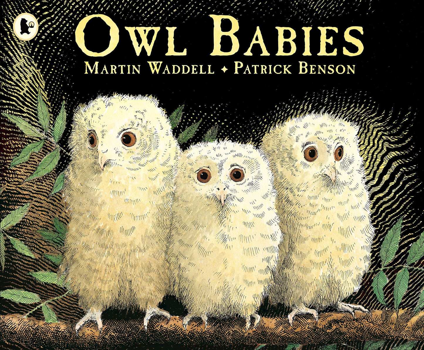 Owl Babies - 2372