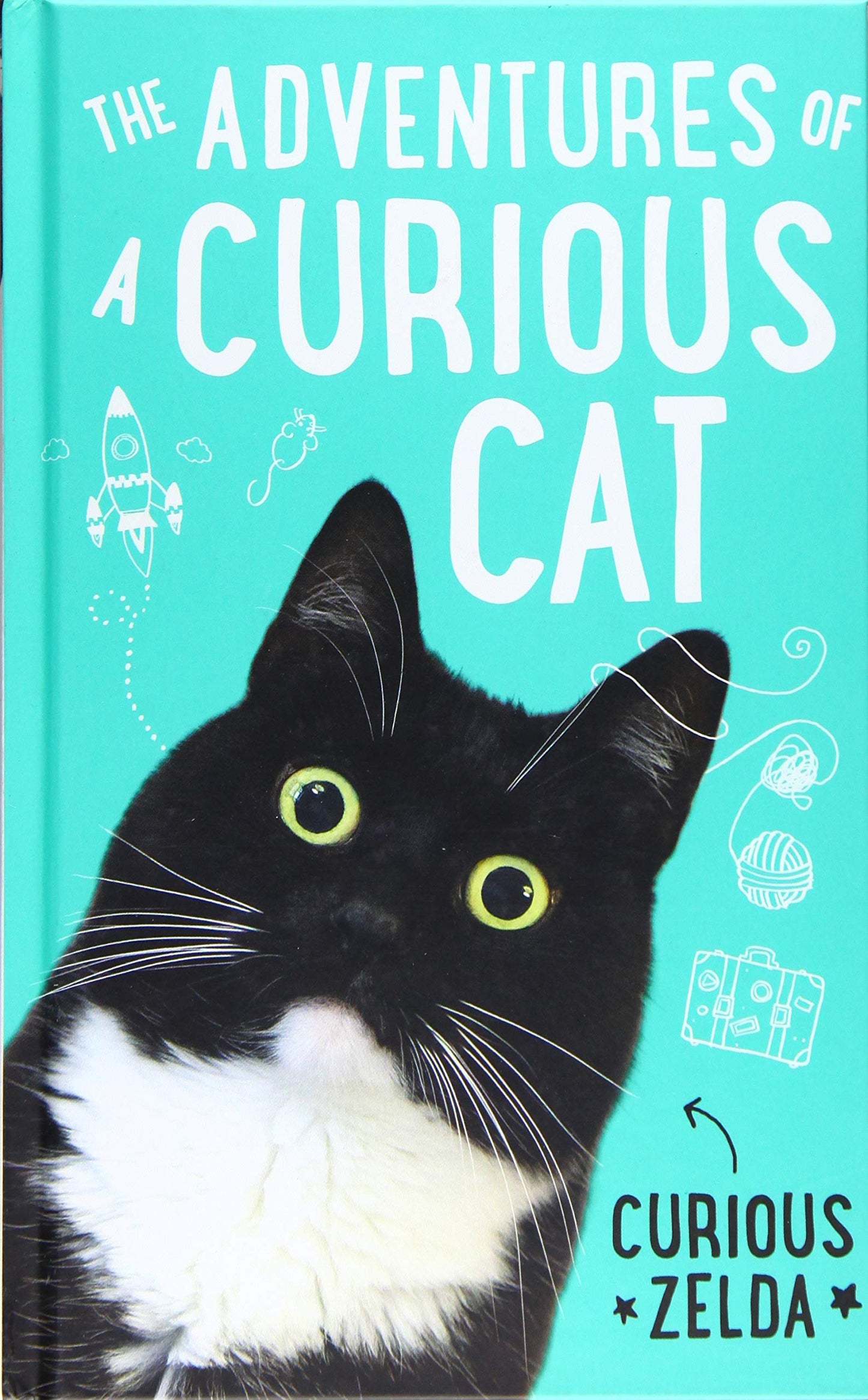 The Adventures of a Curious Cat