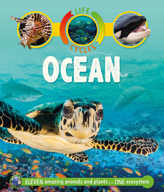 Life Cycles: Ocean - 1148