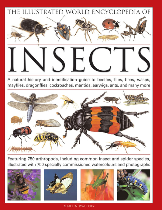 The Illustrated World Encyclopedia of Insects: A Natural History and Identification Guide to Beetles, Flies, Bees, wasps, Springtails, Mayflies, ... Crickets, Bugs, Grasshoppers, Fleas, Spid