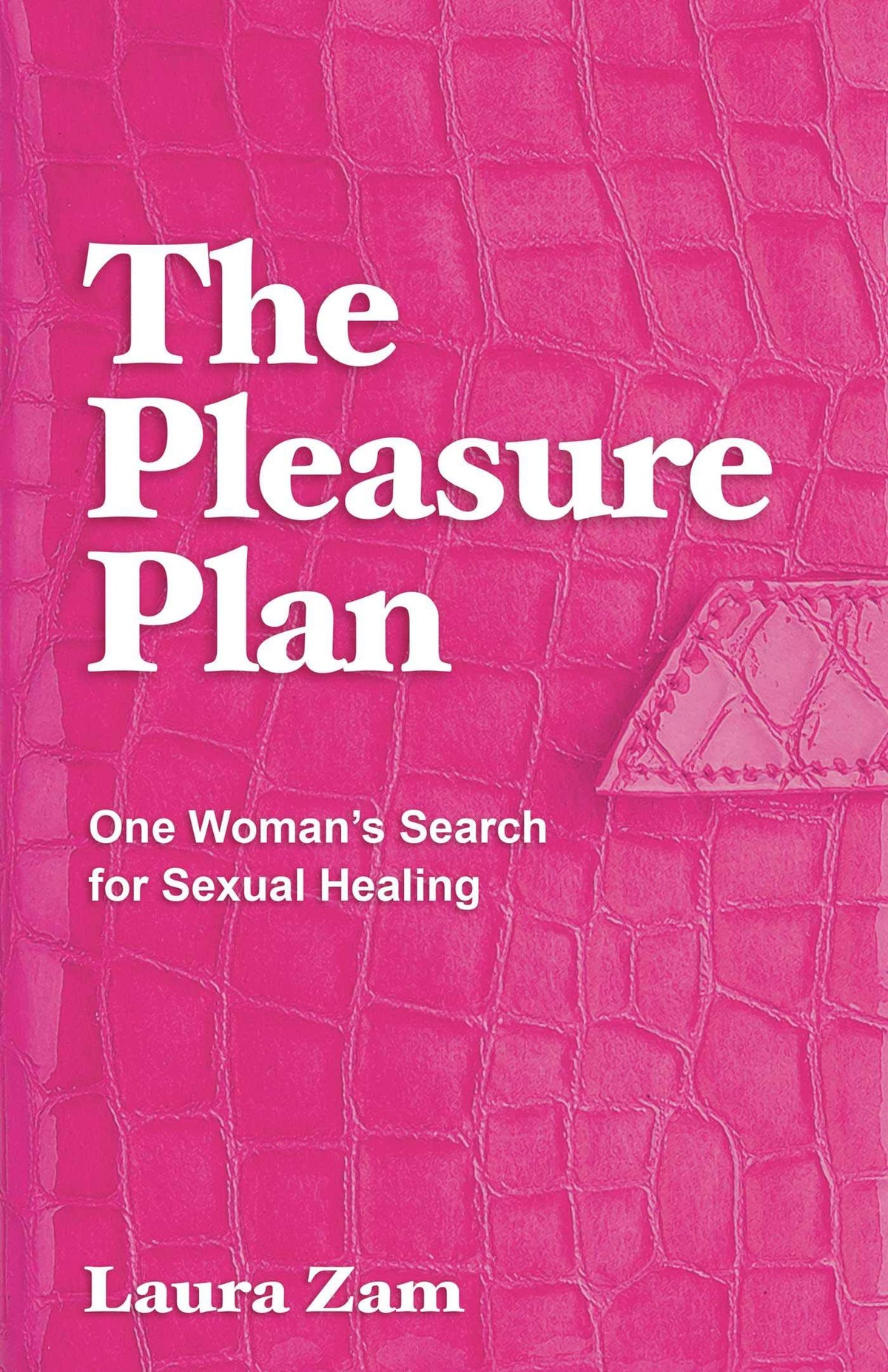 The Pleasure Plan: One Woman's Search for Sexual Healing