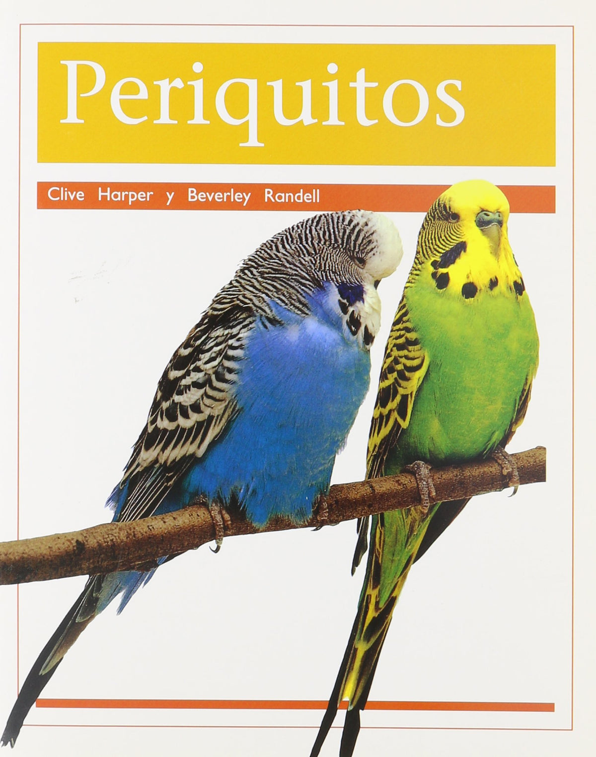Periquitos (Parakeets): Individual Student Edition anaranjado (orange) (Rigby PM Coleccion) (Spanish Edition)
