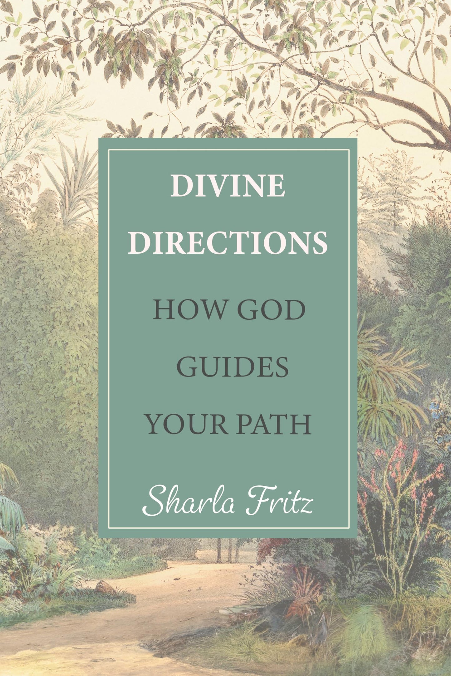 Divine Directions: How God Guides Your Path