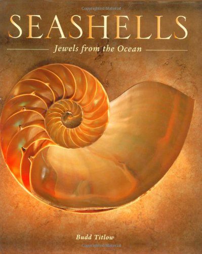 Seashells: Jewels from the Ocean