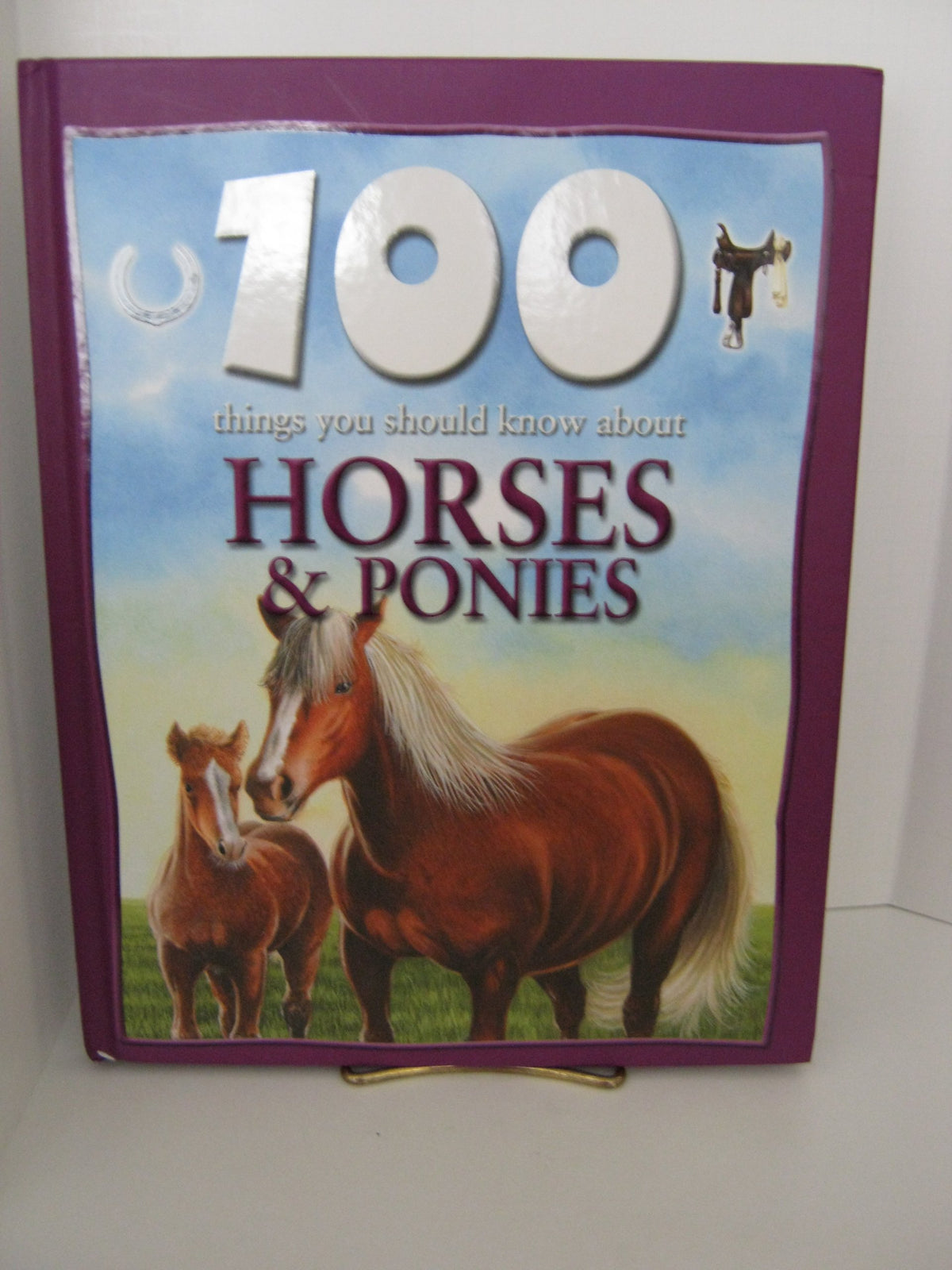 Horses and Ponies (100 Things You Should Know About Series)