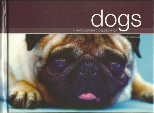 Dogs