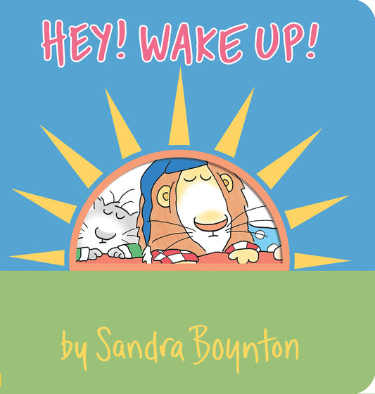 Hey! Wake Up! (Boynton on Board) - 5867