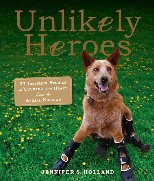 UNLIKELY HEROES: 37 INSPIRING ST
