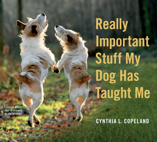REALLY IMPORTANT STUFF MY DOG HA