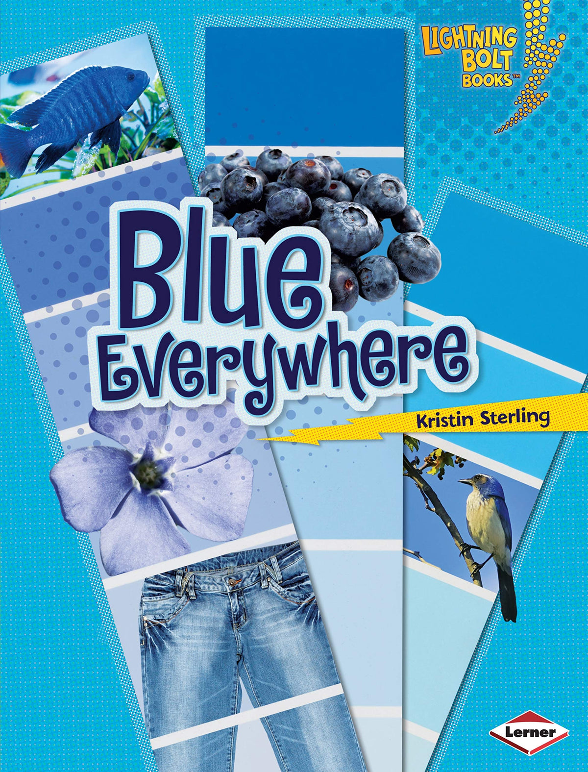Blue Everywhere (Lightning Bolt Books)